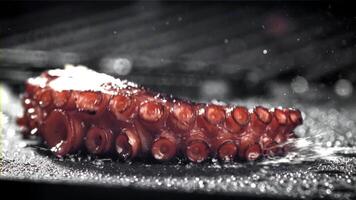 Fried octopus tentacles on a frying pan with a splash of oil. Filmed on a high-speed camera at 1000 fps. High quality FullHD footage video