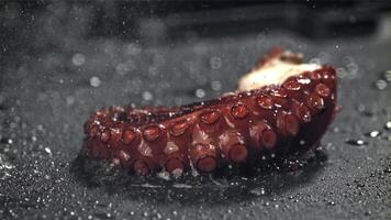 gebakken Octopus tentakels Aan een frituren pan met een plons van olie. gefilmd Aan een hoge snelheid camera Bij 1000 fps. hoog kwaliteit full HD beeldmateriaal video