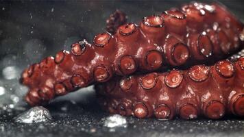 Fried octopus tentacles on a frying pan with a splash of oil. Filmed on a high-speed camera at 1000 fps. High quality FullHD footage video