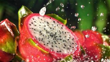 Drops of water fall on a tropical dragon fruit. Filmed on a high-speed camera at 1000 fps. High quality FullHD footage video