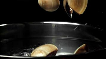 Fresh vongole fly into the pan. Filmed on a high-speed camera at 1000 fps. High quality FullHD footage video