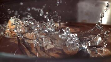 Shrimp splashes fall into the water. Filmed on a high-speed camera at 1000 fps. High quality FullHD footage video