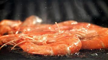 il gamberetto è fritte nel un' padella con un' spruzzata. girato su un' alta velocità telecamera a 1000 fps. alto qualità FullHD metraggio video