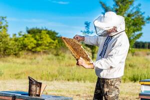 apicultor es trabajando con abejas y colmenas en el colmenar. abejas en panal. marcos de un abeja colmena foto