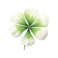 AI generated Clover Leaf Illustration png