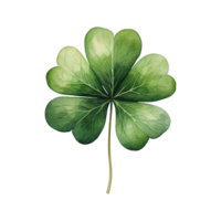 AI generated Clover Leaf Illustration png