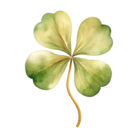 AI generated Clover Leaf Illustration png