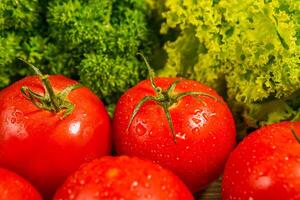 Fresco maduro Tomates, lechuga hojas y perejil en un de madera mesa. Fresco vegetales. delicioso vegetariano alimento. foto