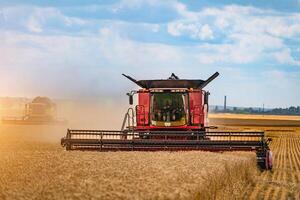 Combine harvester in action on wheat field. Harvesting is the process of gathering a ripe crop from the fields photo