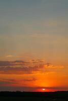 sunset in the field on the background of forest in the summer. Wonderfull view photo