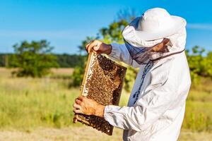 Beekeeper working with bees in his apiary. Bees on honeycombs. Frames of a bee hive photo