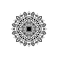 Mandala Design is Art Design Vector Mandala your Bust Design