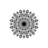 Mandala Design is Art Design Vector Mandala your Bust Design