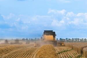 Combine harvester in action on the field. Combine harvester. Harvesting machine for harvesting a wheat field. photo