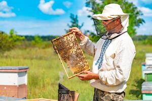 a beekeeper in a special suit looks at a frame with honeycombs for bees in the garden in summer photo