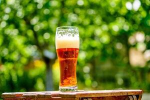 cold light beer with bubbles in a glass and dripping condensate drops photo