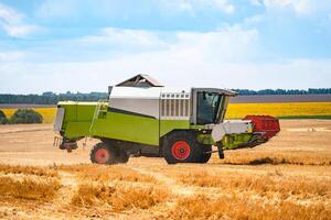 combinar trabajando en el grande trigo campo cosecha amarillo maduro trigo. agrícola concepto foto