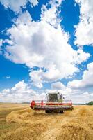 rojo combinar segador en el azul cielo. dorado trigo. segador trabajando a el amarillo campo. foto