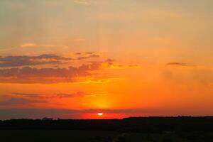 natural puesta de sol terminado el oscuro campo o bosque. brillante dramático cielo y oscuro suelo en el noche a puesta de sol. foto