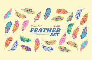 Colorful Feather Illustration Vector Set
