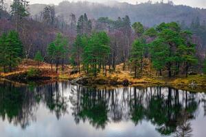 Tranquil forest lake with reflection of evergreen trees and autumn foliage, serene nature scene in Lake District. photo