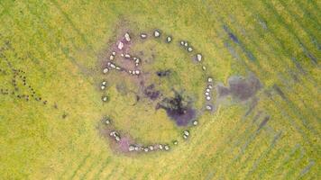 Aerial view of a circular stone formation in a green field, possibly an ancient site or ruins in Lake District, England. photo