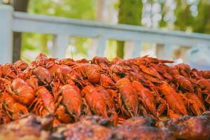 Crawfish. Boiled red crawfish. Crawfish ready to eat. Beer snack. Crayfish to beer. photo