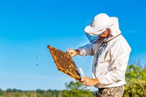 apicultor es trabajando con abejas y colmenas en el colmenar. marcos de un abeja colmena foto