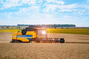 Red grain harvesting combine in a sunny day. Yellow field with grain. Agricultural technic works in field. Closeup. photo