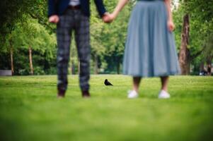 Happy couple holding hands outdoor. Park view background. Selective focus. Closeup. photo