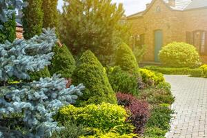 beautiful landscaping with beautiful plants and flowers photo