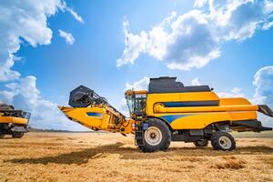 Ripe crop panorama. Cereal gathering. Heavy machinery, blue sky above field. photo