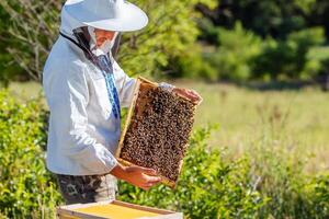 Beekeeper working collect honey. Beekeeping concept photo