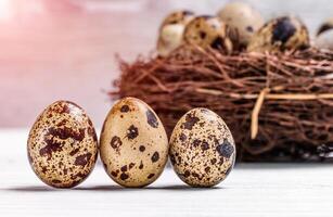 Three dotted quail eggs standing vertical on the background of nest with eggs. Raw fragility quail eggs on white surface. Close-up photo