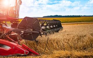 combinar segador en acción en trigo campo. proceso de reunión un maduro cosecha desde el campos. de cerca foto
