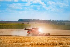 Red grain harvesting combine in a sunny day. Yellow field with grain. Agricultural technic works in field. Closeup. photo
