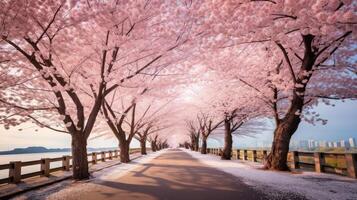 AI generated A road lined with blooming cherry blossoms photo