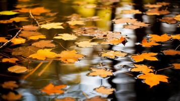 AI generated Leaves floating in a pond with reflections photo