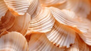 AI generated Hyper zoom into the texture of a seashell's ridges photo