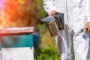 Beekeepers equipment to do work with honey. Beehives and bees on background. photo