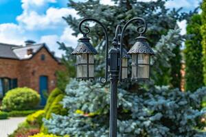 beautiful landscaping with beautiful plants and flowers photo