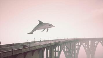 A dolphin is flying over a bridge on a foggy day video