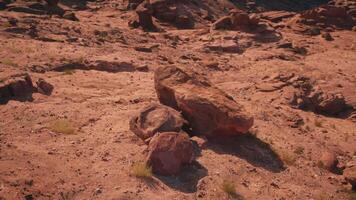 un' grande roccia nel il mezzo di un' deserto video