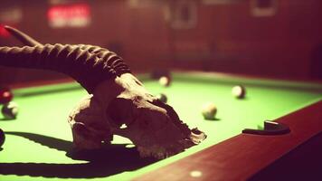 un animal cráneo en un piscina mesa con pelotas video