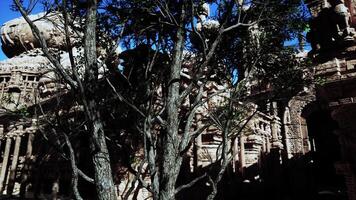 un árbol en frente de un Roca edificio video