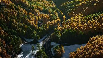 un' panoramico Visualizza di un' strada circondato di alberi video