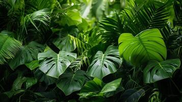 AI generated The lush green leaves of a tropical jungle photo
