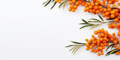 AI generated Frame with fresh sea buckthorn on a white background with space for text photo