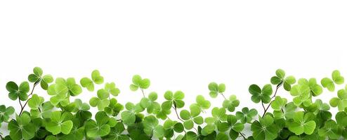 AI generated border with four-leaf clover on a white background. St.Patrick 's Day photo