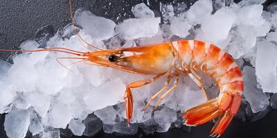 AI generated Photorealistic image of fresh shrimp on ice photo